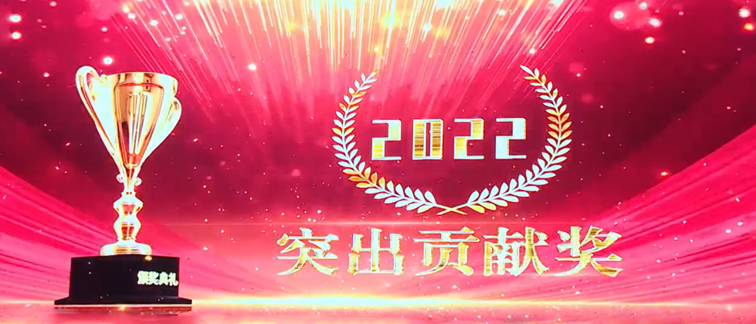 Congratulations to Zhang Jingzhu, Chairman of Wanglin NM, for Winning the "Outstanding Contribution Award"