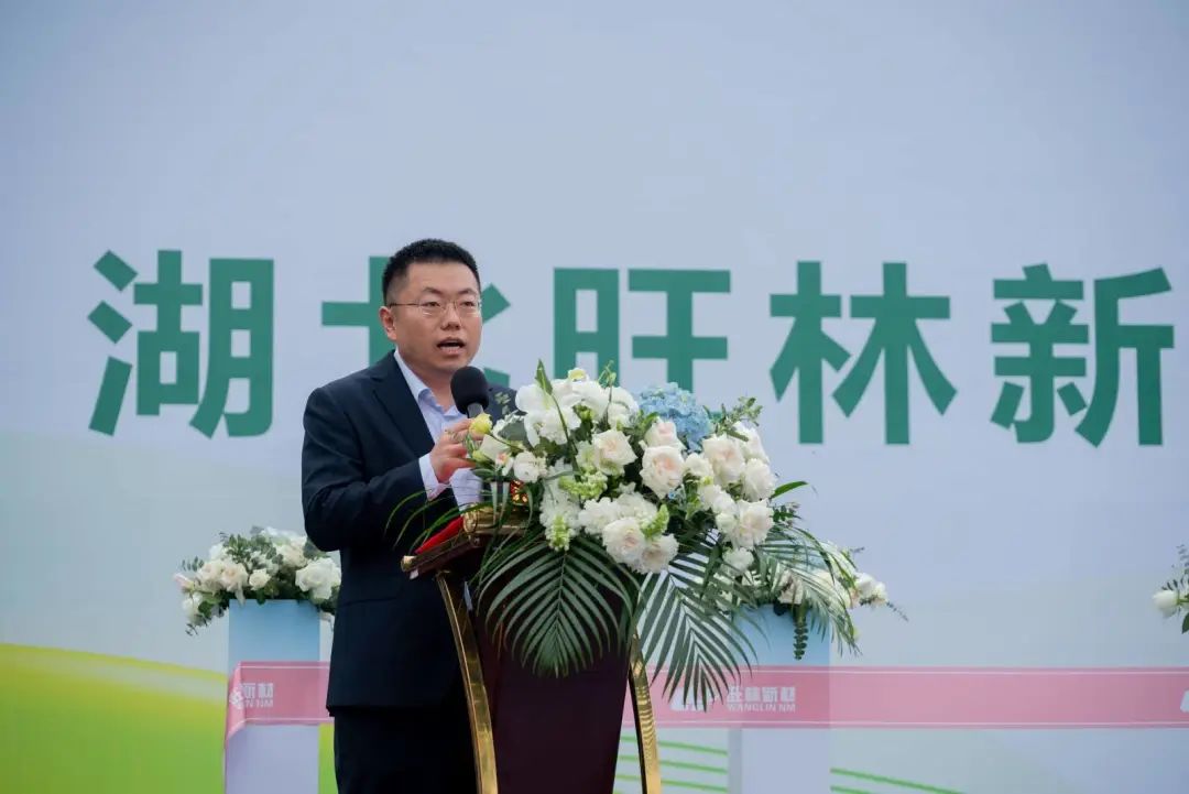 Message from the Chairman